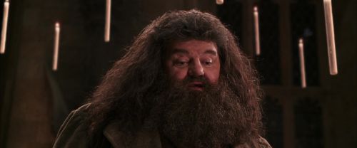 CS-Potterish_10209.jpg