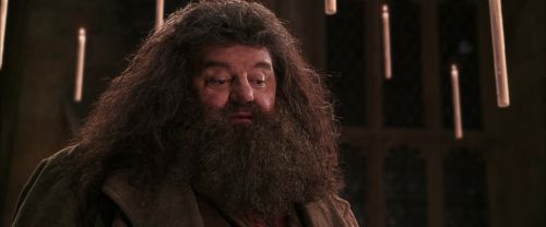 CS-Potterish_10210.jpg
