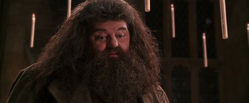CS-Potterish_10212.jpg