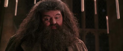 CS-Potterish_10215.jpg