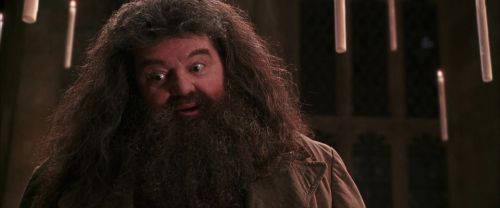 CS-Potterish_10216.jpg