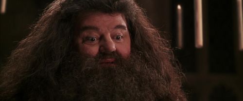 CS-Potterish_10219.jpg