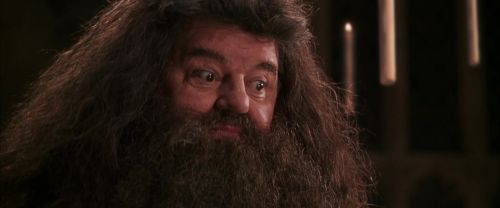 CS-Potterish_10221.jpg