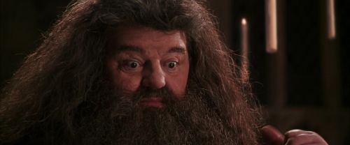 CS-Potterish_10222.jpg