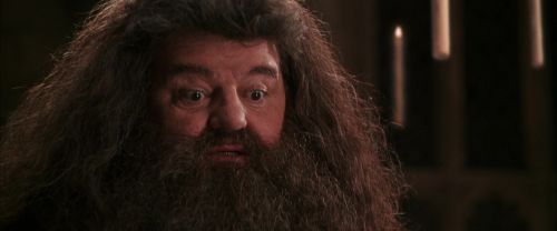 Click to view full size image
==============
CS-Potterish_10224.jpg CS-Potterish_10224.jpg