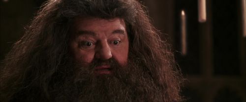 CS-Potterish_10225.jpg