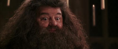 CS-Potterish_10226.jpg