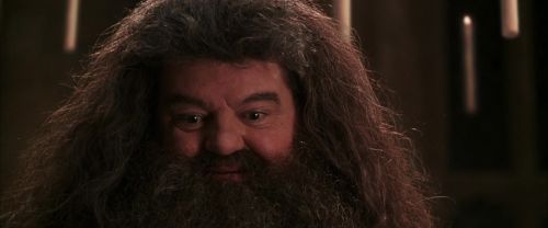 CS-Potterish_10227.jpg