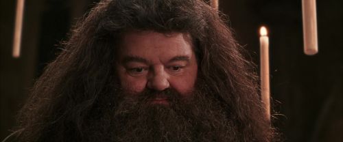 CS-Potterish_10241.jpg