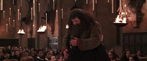 CS-Potterish_10252.jpg