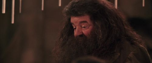 CS-Potterish_10309.jpg