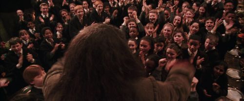 CS-Potterish_10321.jpg