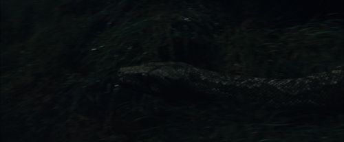 Click to view full size image
==============
CdF-Potterish_0035.jpg CdF-Potterish_0035.jpg