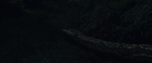 CdF-Potterish_0036.jpg