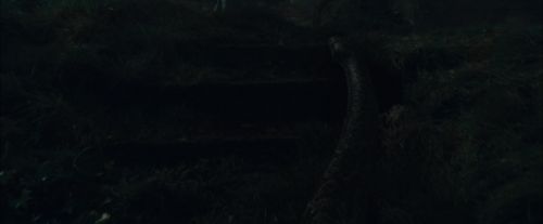 CdF-Potterish_0042.jpg