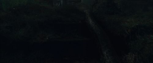 CdF-Potterish_0043.jpg