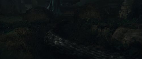 CdF-Potterish_0049.jpg