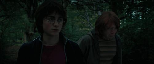 Click to view full size image
==============
CdF-Potterish_0298.jpg CdF-Potterish_0298.jpg