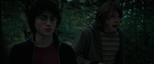 CdF-Potterish_0299.jpg