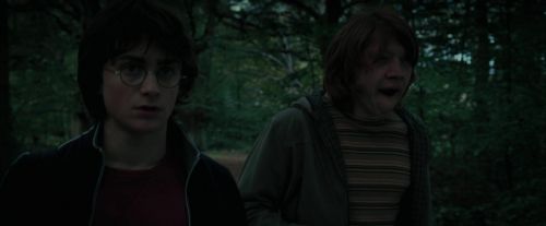 CdF-Potterish_0300.jpg