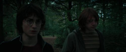 CdF-Potterish_0301.jpg