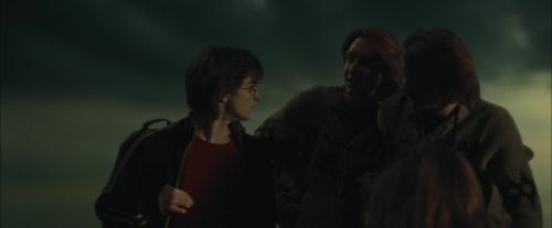 Click to view full size image
==============
CdF-Potterish_0344.jpg CdF-Potterish_0344.jpg