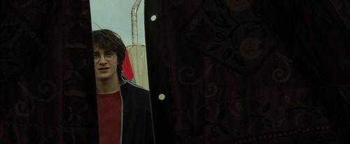 CdF-Potterish_0449.jpg