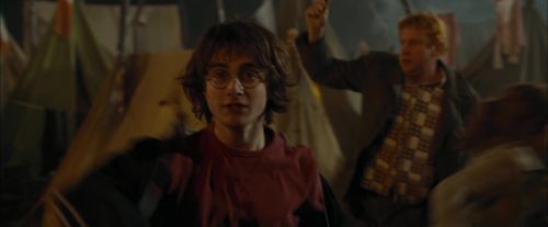 Click to view full size image
==============
CdF-Potterish_0685.jpg CdF-Potterish_0685.jpg