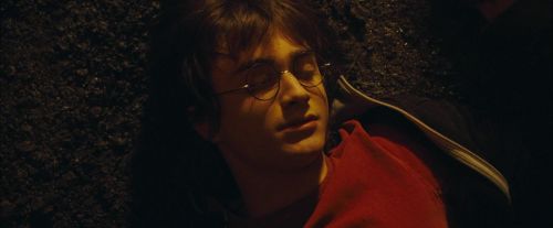Click to view full size image
==============
CdF-Potterish_0732.jpg CdF-Potterish_0732.jpg