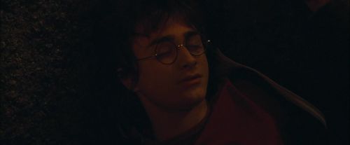 Click to view full size image
==============
CdF-Potterish_0733.jpg CdF-Potterish_0733.jpg