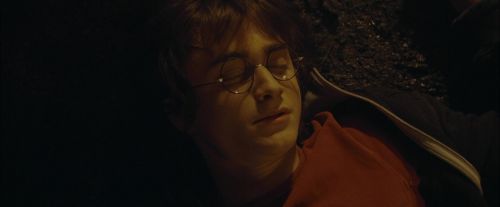 CdF-Potterish_0735.jpg