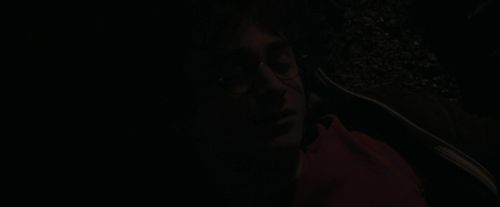 CdF-Potterish_0737.jpg