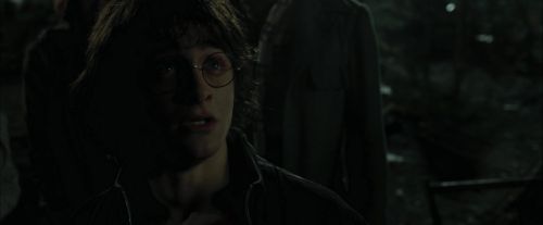 Click to view full size image
==============
CdF-Potterish_0869.jpg CdF-Potterish_0869.jpg