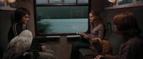 CdF-Potterish_0933.jpg