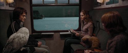 Click to view full size image
==============
CdF-Potterish_0934.jpg CdF-Potterish_0934.jpg