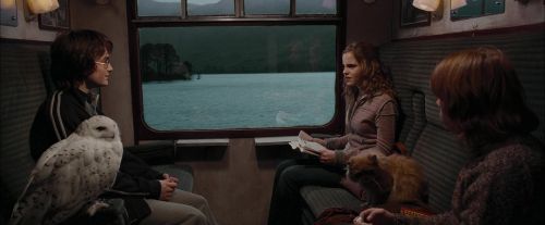 Click to view full size image
==============
CdF-Potterish_0935.jpg CdF-Potterish_0935.jpg