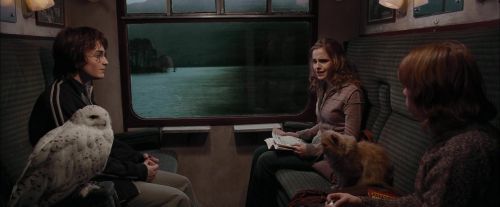 Click to view full size image
==============
CdF-Potterish_0937.jpg CdF-Potterish_0937.jpg