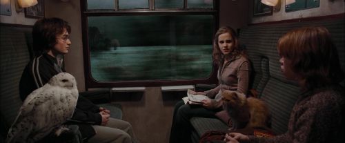 Click to view full size image
==============
CdF-Potterish_0938.jpg CdF-Potterish_0938.jpg