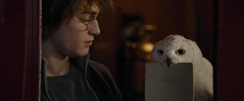 Click to view full size image
==============
CdF-Potterish_0973.jpg CdF-Potterish_0973.jpg