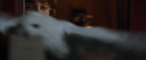 CdF-Potterish_0974.jpg