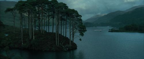 CdF-Potterish_0981.jpg