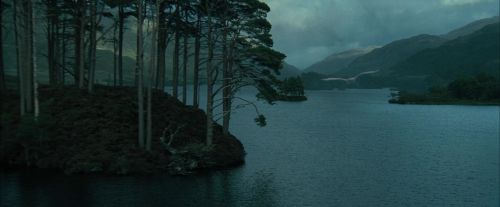 Click to view full size image
==============
CdF-Potterish_0982.jpg CdF-Potterish_0982.jpg