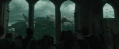 CdF-Potterish_1010.jpg