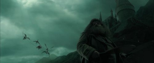 CdF-Potterish_1017.jpg