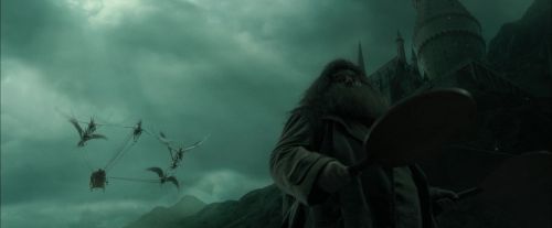 Click to view full size image
==============
CdF-Potterish_1018.jpg CdF-Potterish_1018.jpg