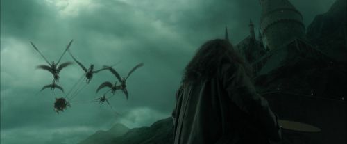 Click to view full size image
==============
CdF-Potterish_1019.jpg CdF-Potterish_1019.jpg