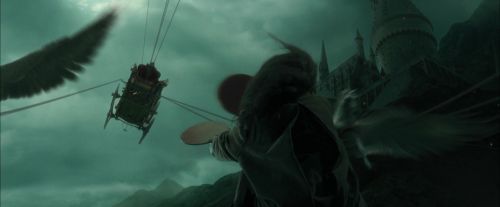 Click to view full size image
==============
CdF-Potterish_1022.jpg CdF-Potterish_1022.jpg