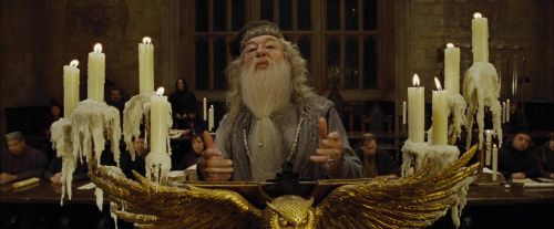Click to view full size image
==============
CdF-Potterish_1117.jpg CdF-Potterish_1117.jpg