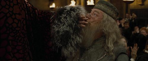 Click to view full size image
==============
CdF-Potterish_1171.jpg CdF-Potterish_1171.jpg