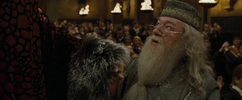 CdF-Potterish_1172.jpg